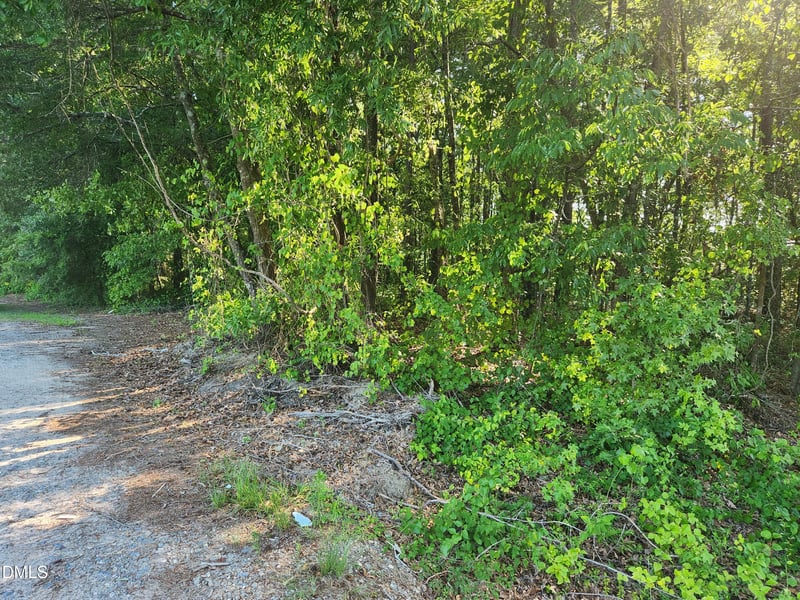 995 B Barbour Rd Lot 1, Smithfield, NC 27577