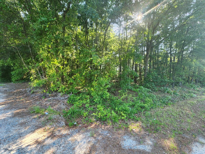 995 B Barbour Rd Lot 1, Smithfield, NC 27577