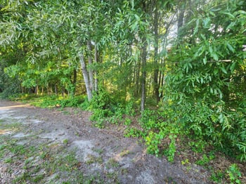 995 B Barbour Rd Lot 1, Smithfield, NC 27577