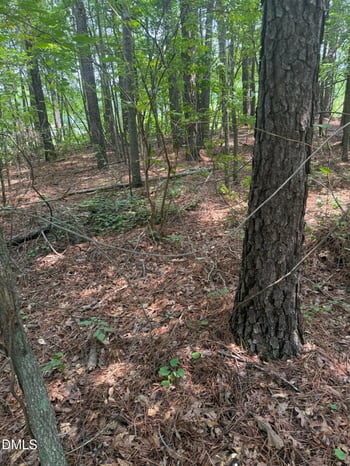 995 B Barbour Rd Lot 1, Smithfield, NC 27577