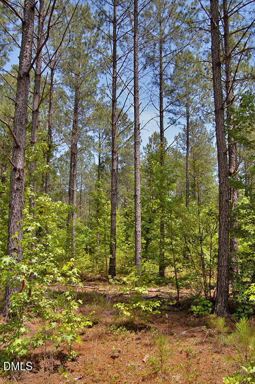 B G F Ball Rd, Louisburg, NC 27549