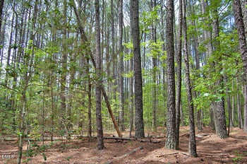 B G F Ball Rd, Louisburg, NC 27549