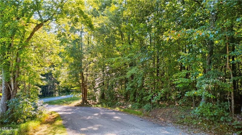 0 Bethel South Fork Rd, Graham, NC 27253