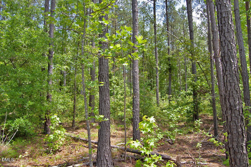 C G F Ball Rd, Louisburg, NC 27549