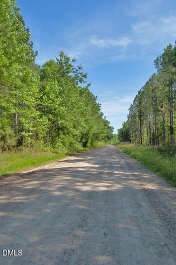 D G F Ball Rd, Louisburg, NC 27549