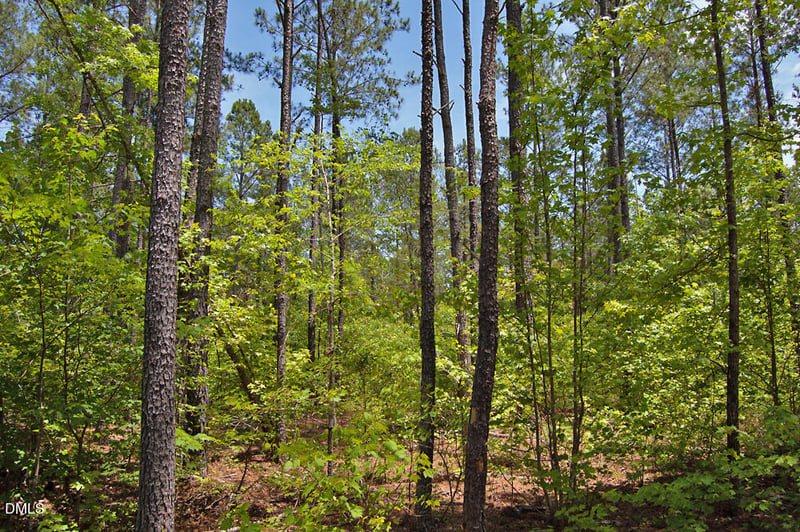 G G F Ball Rd Lot G, Louisburg, NC 27549