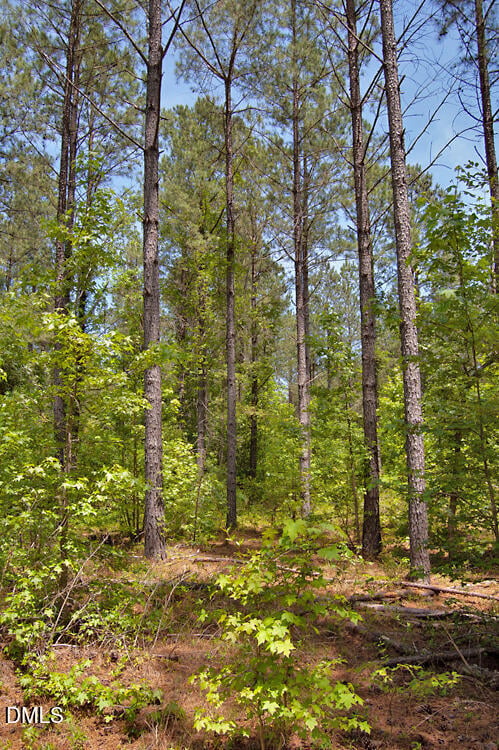 G G F Ball Rd Lot G, Louisburg, NC 27549