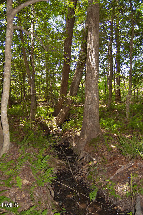 H G F Ball Rd Lot H, Louisburg, NC 27549