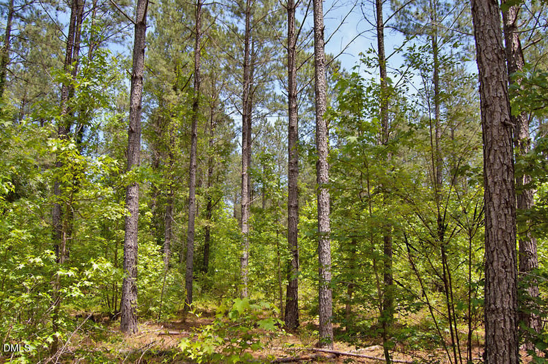 H G F Ball Rd Lot H, Louisburg, NC 27549