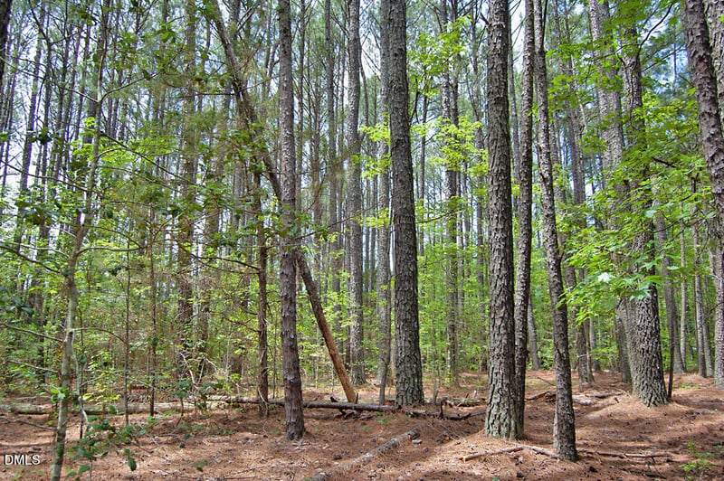 H G F Ball Rd Lot H, Louisburg, NC 27549