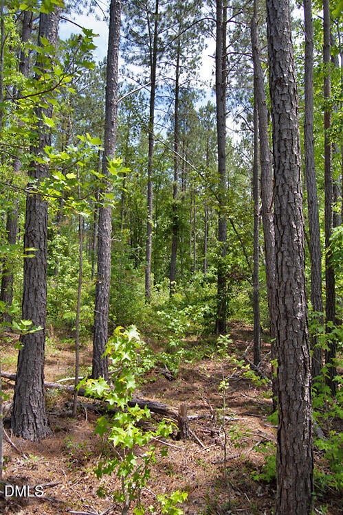 I G F Ball Rd Lot I, Louisburg, NC 27549