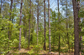 I G F Ball Rd Lot I, Louisburg, NC 27549