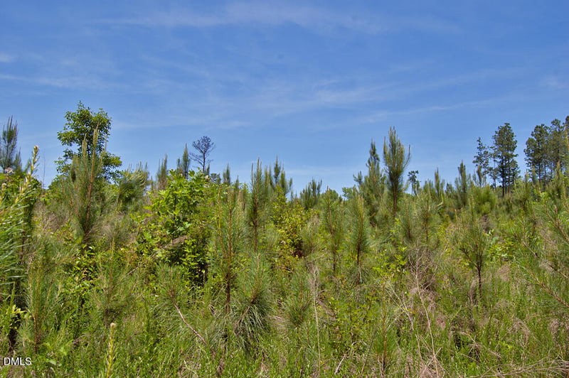 J G F Ball Rd Lot J, Louisburg, NC 27549