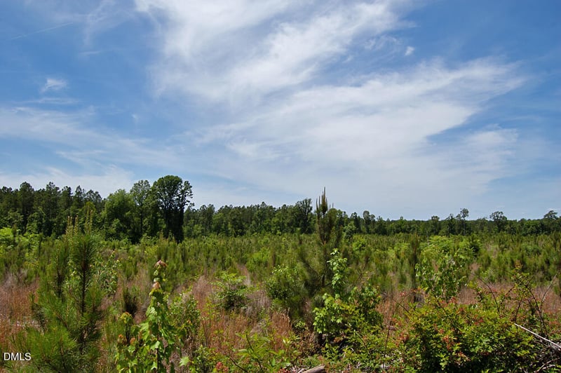 J G F Ball Rd Lot J, Louisburg, NC 27549
