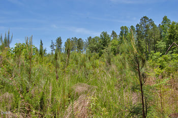K G F Ball Rd Lot K, Louisburg, NC 27549