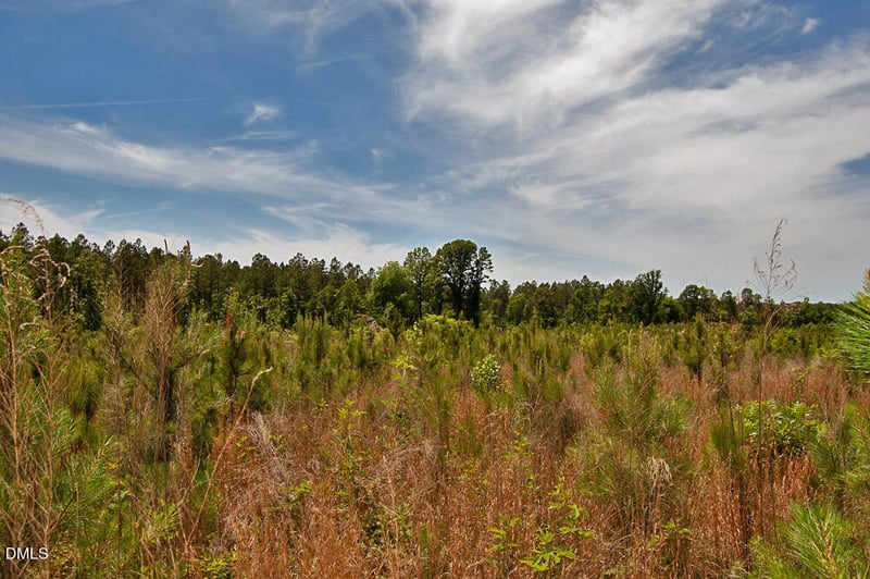 K G F Ball Rd Lot K, Louisburg, NC 27549