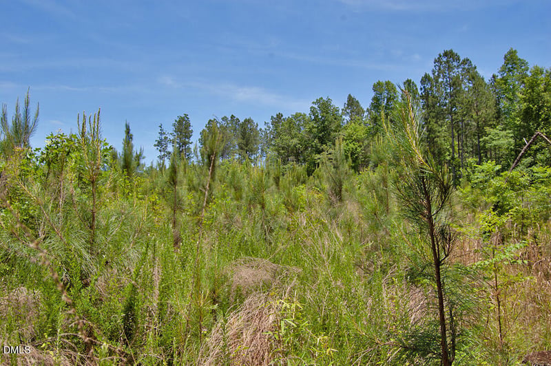 L G F Ball Rd Lot L, Louisburg, NC 27549