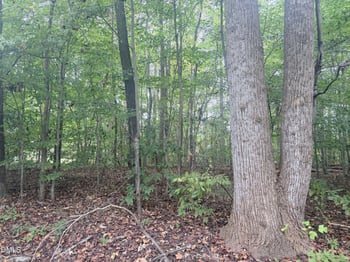 L279-280 Tenth St, Mebane, NC 27302