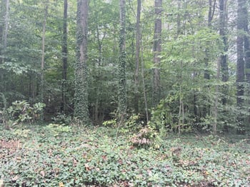 L37-41 Tenth St, Mebane, NC 27302