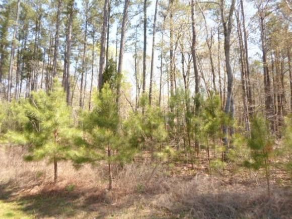 L69 Buckroe Dr, Sanford, NC 27330