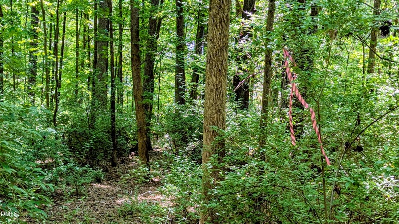 Lot 1 Blueberry Ln, Chapel Hill, NC 27516