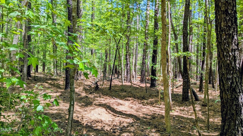 Lot 1 Blueberry Ln, Chapel Hill, NC 27516