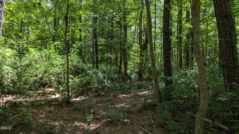 Lot 1 Blueberry Ln, Chapel Hill, NC 27516