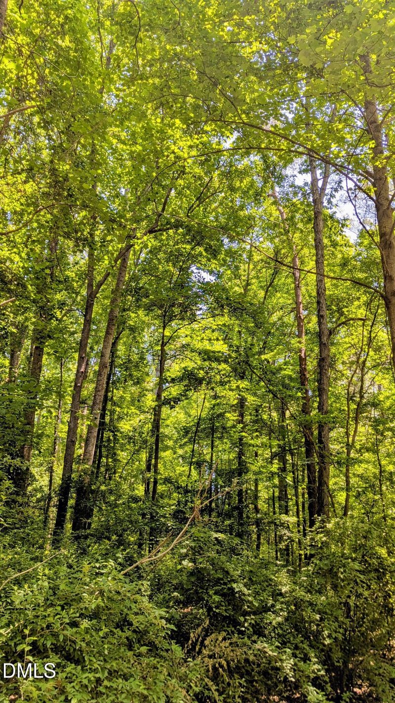 Lot 1 Blueberry Ln, Chapel Hill, NC 27516