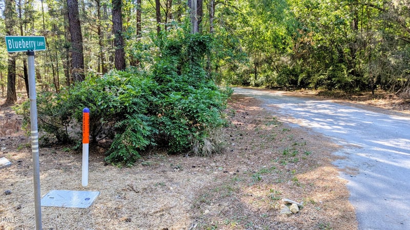 Lot 1 Blueberry Ln, Chapel Hill, NC 27516