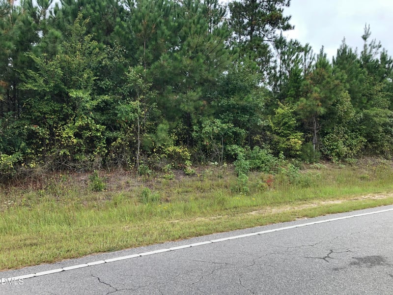 Lot 1 Brewer Rd, Louisburg, NC 27549