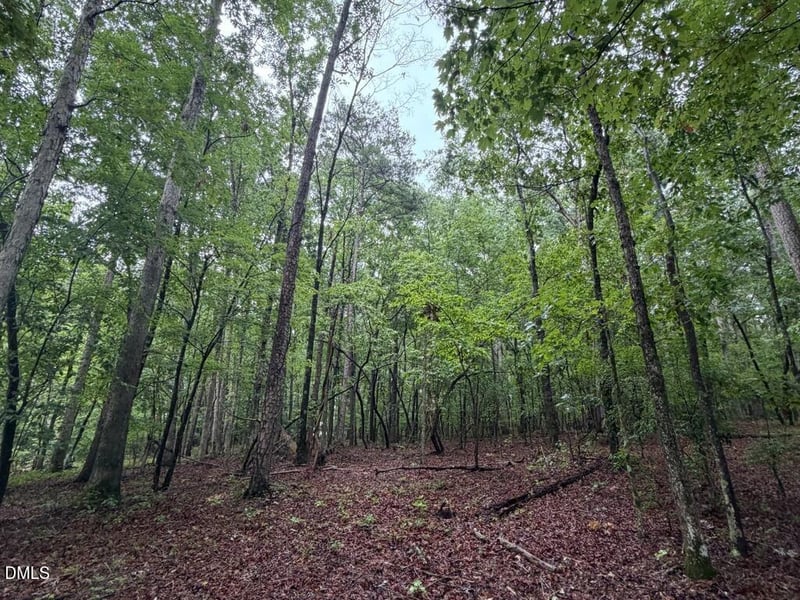 Lot 1 Claude Lewis Rd Lot 1, Middlesex, NC 27557