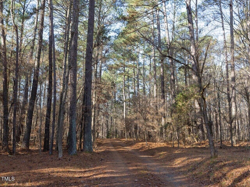 Lot 1 D Turkey Buzzard Ln, Pittsboro, NC 27312