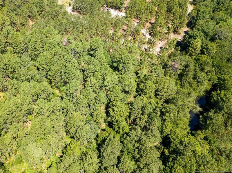 Lot 1 Docs Rd, Lillington, NC 27546