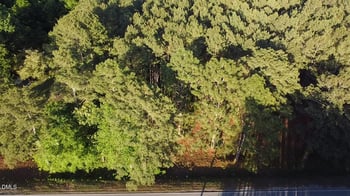 Lot 1 Docs Rd Lot 1, Lillington, NC 27546