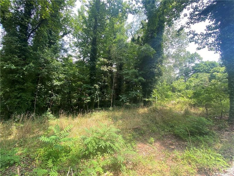 Lot 1 S Eighth St, Mebane, NC 27302