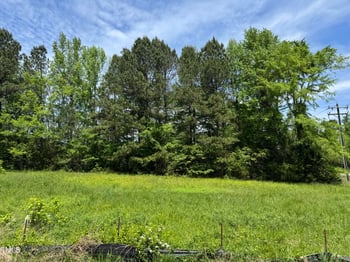 Lot 1 Hillsborough Preserve, Hillsborough, NC 27278