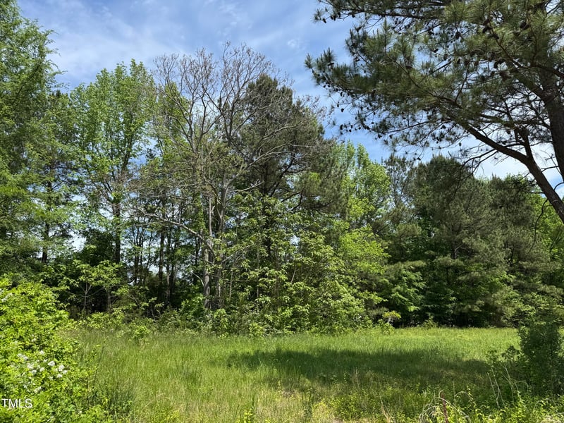 Lot 1 Hillsborough Preserve, Hillsborough, NC 27278
