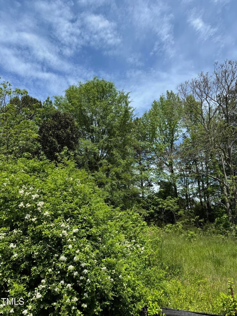 Lot 1 Hillsborough Preserve, Hillsborough, NC 27278