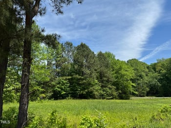 Lot 1 Hillsborough Preserve, Hillsborough, NC 27278