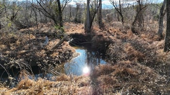 Lot 1 Hurdle Mills Rd Lot 1, Roxboro, NC 27574