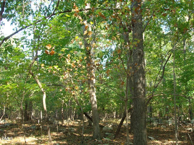 Lot 1 Lodge Trl, Chapel Hill, NC 27516