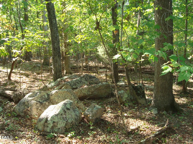 Lot 1 Lodge Trl Lot 1, Chapel Hill, NC 27516