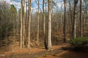 Lot 1 Marvin Edwards Ln, Chapel Hill, NC 27517