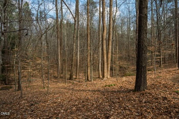 Lot 1 Marvin Edwards Ln Lot 1, Chapel Hill, NC 27517