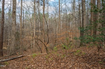 Lot 1 Marvin Edwards Ln Lot 1, Chapel Hill, NC 27517