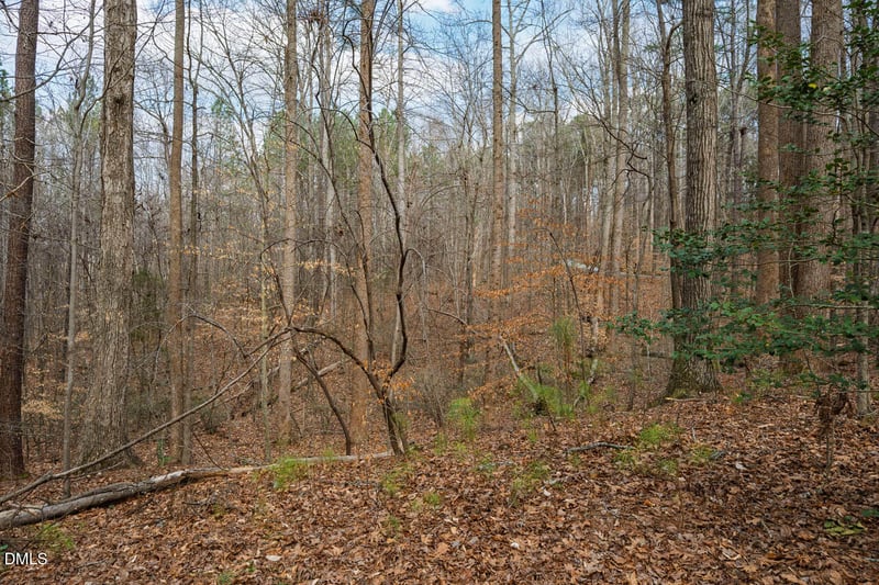 Lot 1 Marvin Edwards Ln Lot 1, Chapel Hill, NC 27517