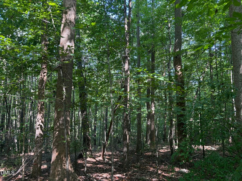 Lot 1 Marvin Edwards Ln Lot 1, Chapel Hill, NC 27517