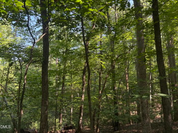 Lot 1 Marvin Edwards Ln Lot 1, Chapel Hill, NC 27517