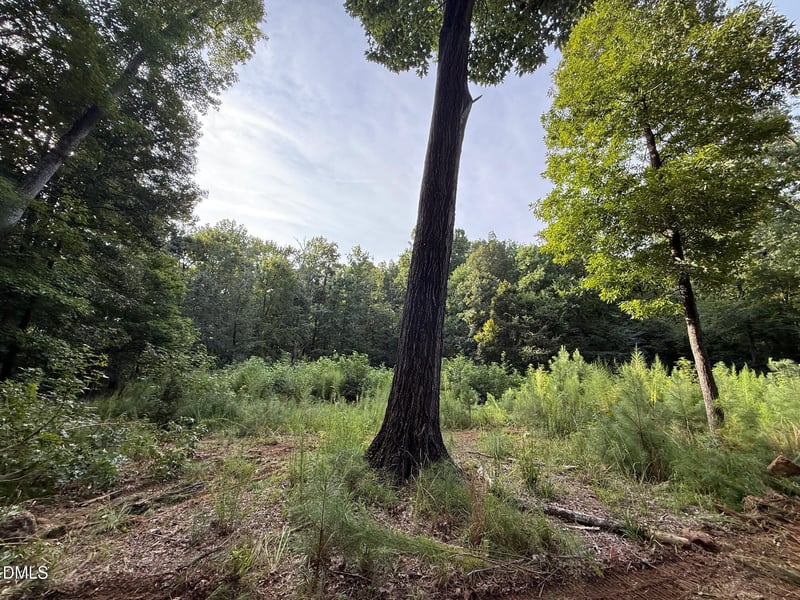 Lot 1 Orange Grv St Lot 1, Hillsborough, NC 27278