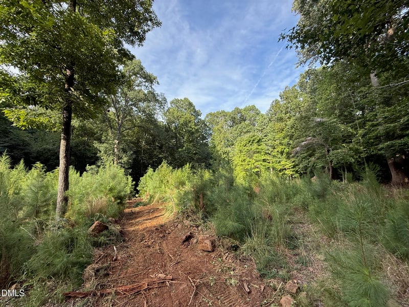 Lot 1 Orange Grv St Lot 1, Hillsborough, NC 27278